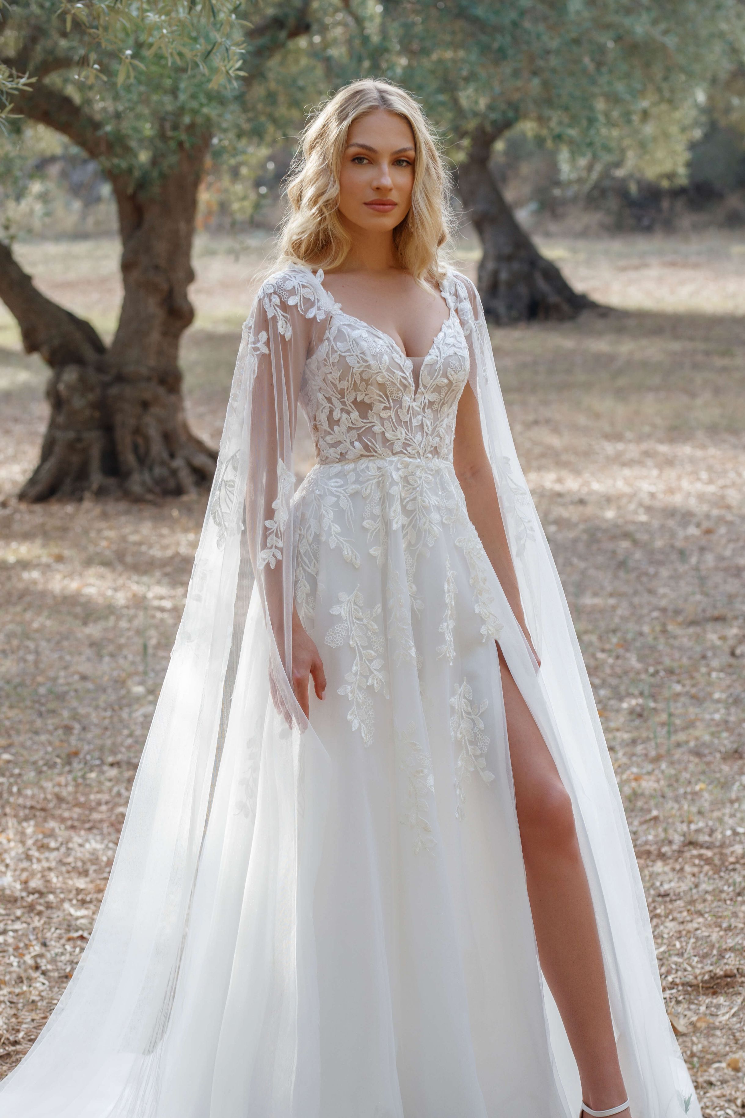 BR2008 Plus size